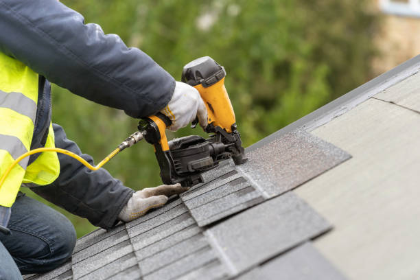 Roof Moss and Algae Removal